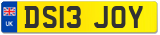 DS13 JOY