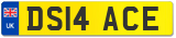 DS14 ACE