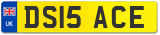 DS15 ACE