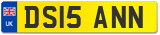 DS15 ANN
