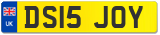 DS15 JOY