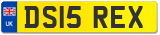DS15 REX