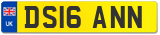 DS16 ANN