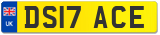 DS17 ACE