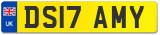 DS17 AMY