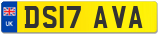 DS17 AVA