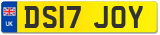 DS17 JOY