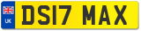 DS17 MAX