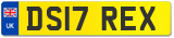 DS17 REX