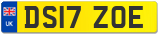 DS17 ZOE