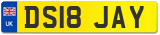 DS18 JAY