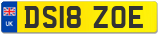 DS18 ZOE
