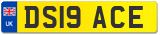 DS19 ACE