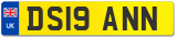DS19 ANN