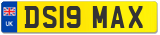 DS19 MAX