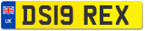 DS19 REX