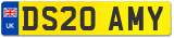 DS20 AMY