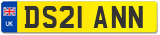 DS21 ANN