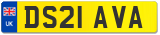 DS21 AVA