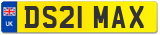 DS21 MAX