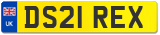 DS21 REX