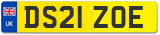 DS21 ZOE