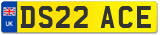 DS22 ACE