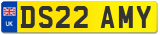 DS22 AMY