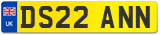 DS22 ANN