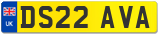 DS22 AVA