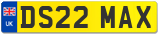 DS22 MAX