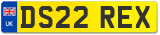 DS22 REX