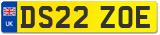 DS22 ZOE
