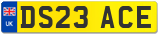 DS23 ACE