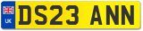 DS23 ANN