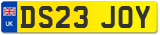 DS23 JOY