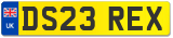 DS23 REX