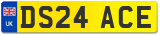 DS24 ACE