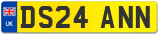 DS24 ANN