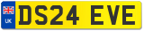 DS24 EVE