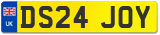 DS24 JOY