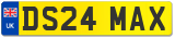 DS24 MAX