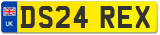 DS24 REX