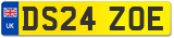 DS24 ZOE