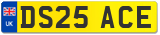 DS25 ACE