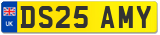 DS25 AMY