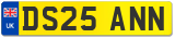 DS25 ANN