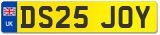 DS25 JOY