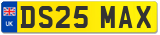 DS25 MAX