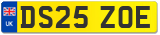 DS25 ZOE